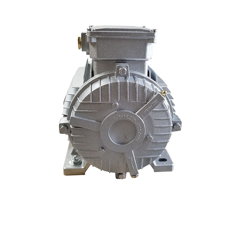 High temperature motor 2