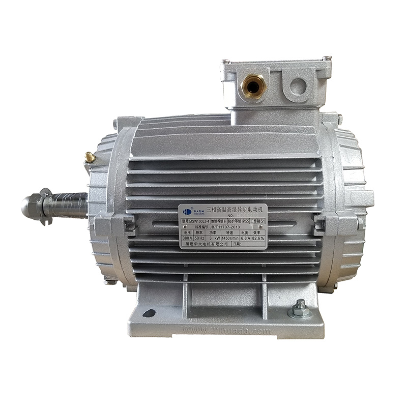 High temperature motor 1